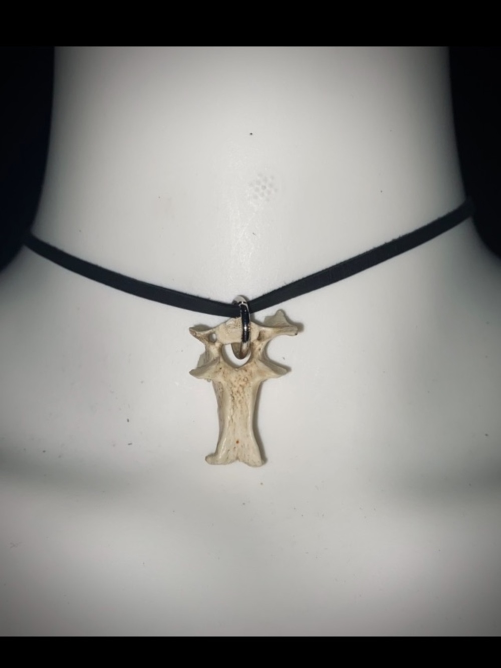 Possum vertebrae bone choker